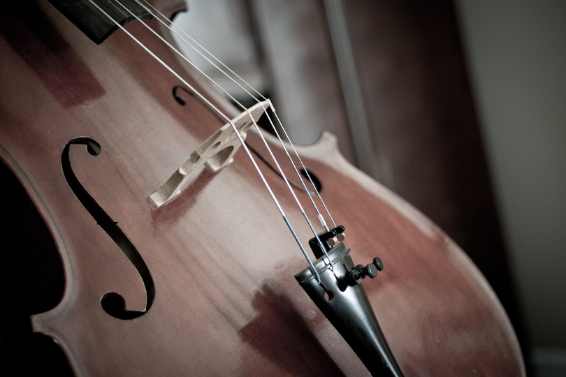das Cello war das Soloinstrument des 1, Philharmonischen Konzertes in der neuen Spielzeit. (Foto: (c) aischmidt / pixabay)