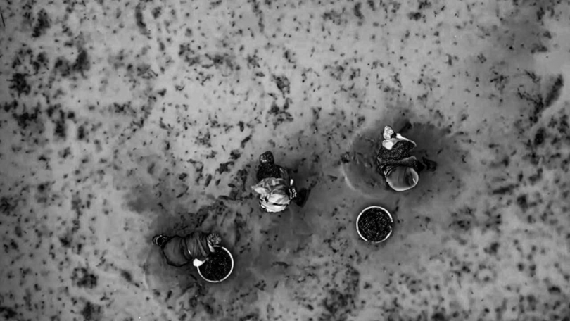 Das Stück "Hedera" spielt In einer kargen, fragmentierten Landschaft – einem Brachland zwischen Vergangenheit und Gegenwart. (Foto: (c) Sepidar Theater)