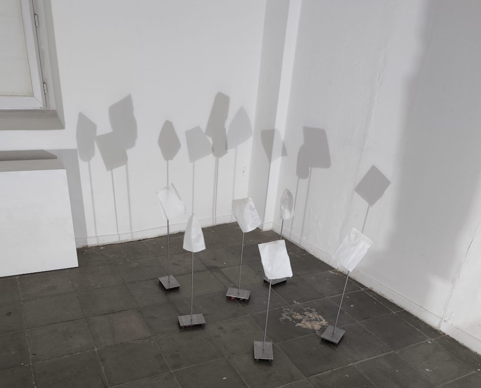 IMG_20260130_191007_start