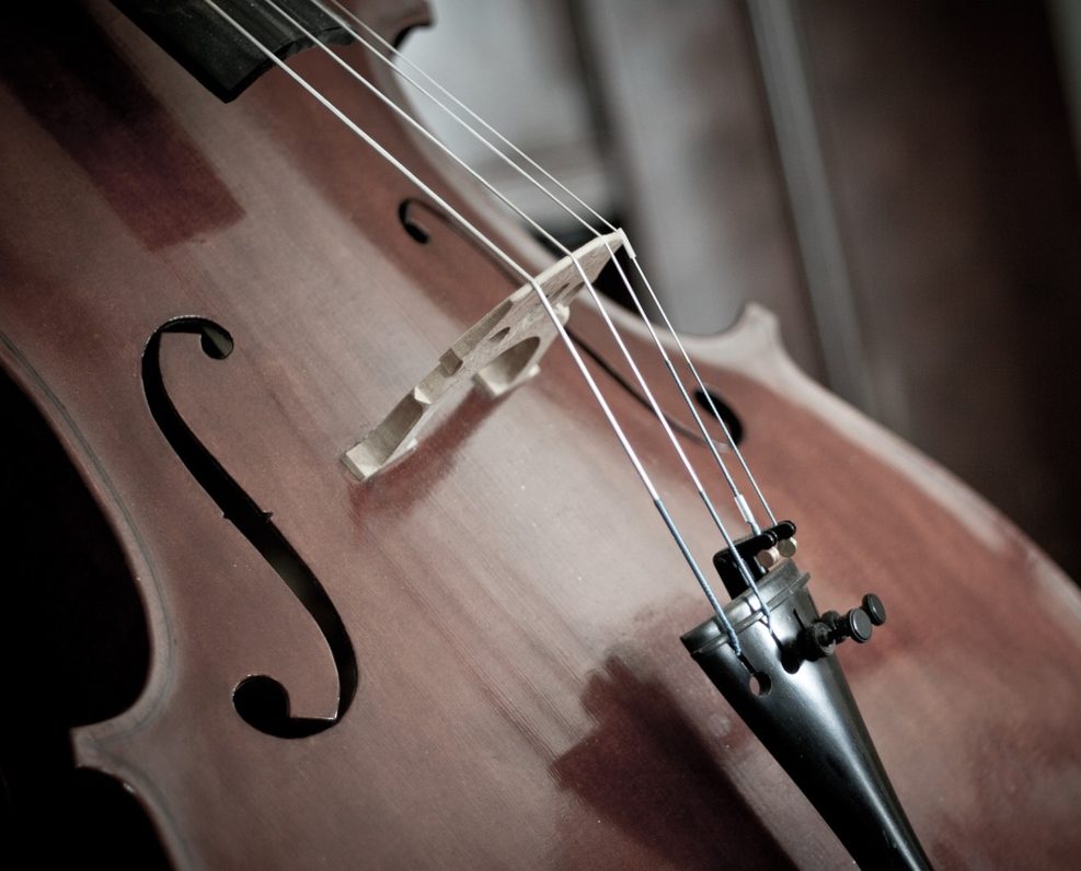 cello-110981_1280_start